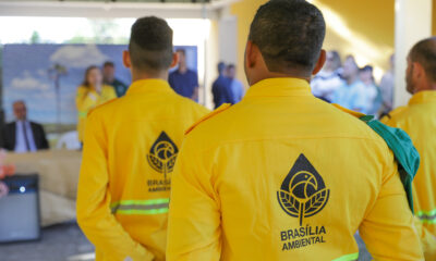 Brigadistas Brasília Ambiental