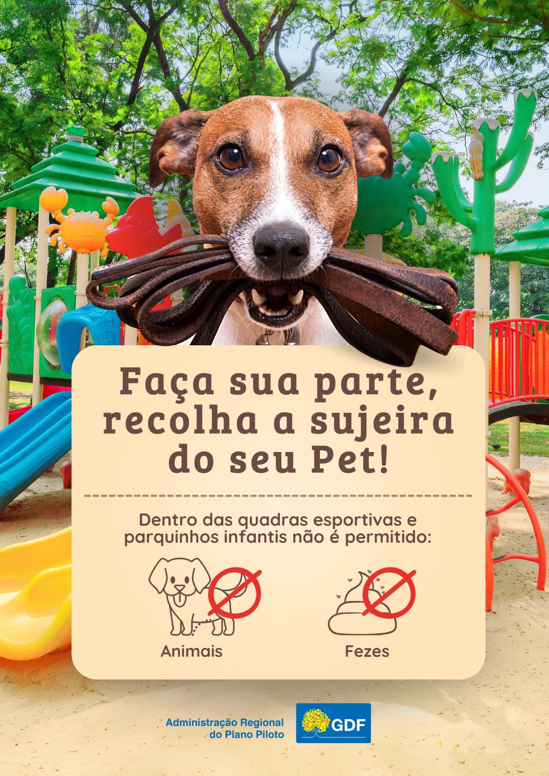 Pet sem Sujeira GDF