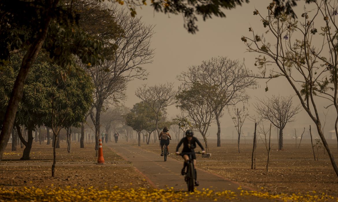 fumaça incêndios Brasília